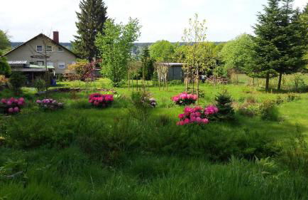 Moosberg Haus Mizzi - Foto 11