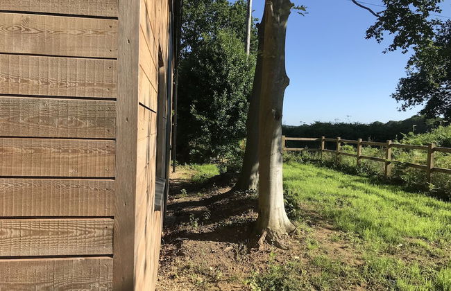 Well Barn, Sudbourne - Foto 14