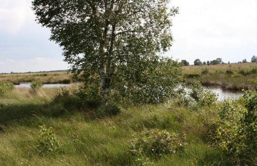 Ferienwohnung Frisia - Photo 18