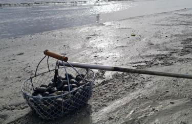 La Passerelle de la Baie - Foto 45