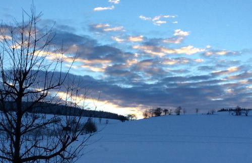 Ferienwohnung Haus Friederike ab 6 Übernachtungen, inclusive Meine Card Plus - Foto 25