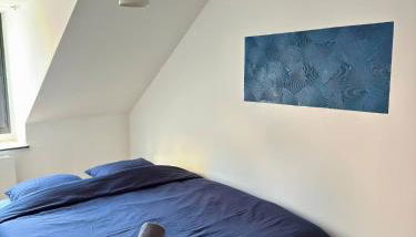 Cosy 4 - Montbéliard centre 80m2 - Foto 5