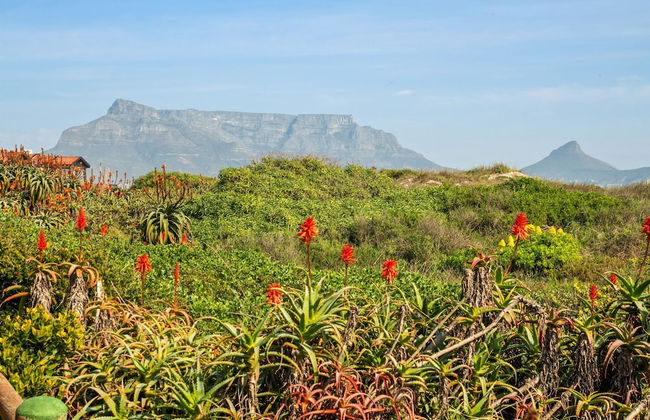 Marechale Way - Photo 41