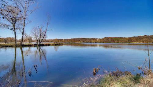 Cozy Studio Retreat with Scenic 5-Acre Views, Near City Lake & Cherokee Casino in Gentry, Arkansas - Foto 3