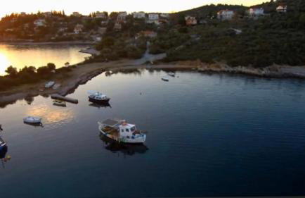 Alexander's - Foto 33