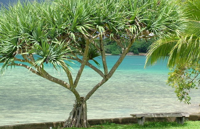 Pacific Lagoon Apartments - Photo 34