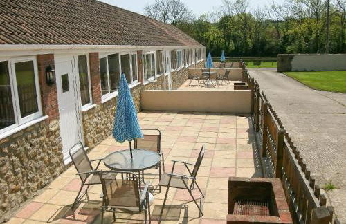 Woodpecker - Photo 9