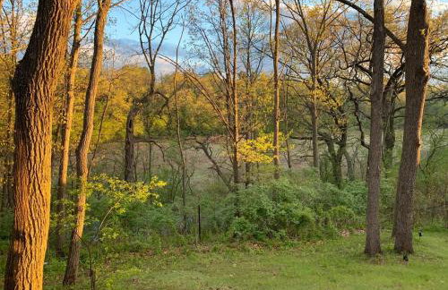 Rare Gem! Game Room, Hot Tub, Near Lake, Pet Ok - Foto 50