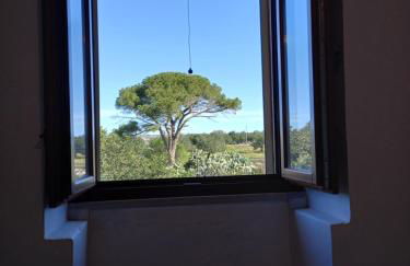 Scicli Città felice - Foto 28