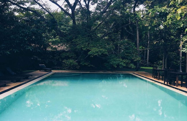 Bungalow Sud - Foto 16