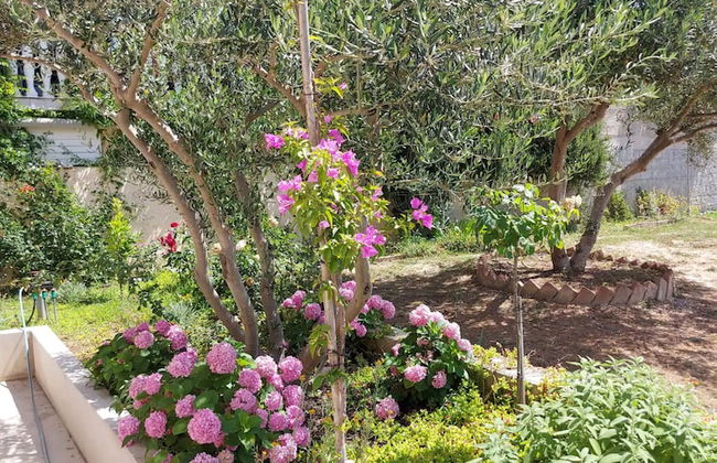 Apartments Balatura - Foto 37