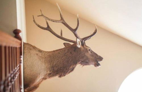 Yellowstone Trail Lodge - Foto 21