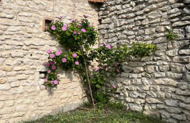 Entre garrigue et potager bio - Foto 62