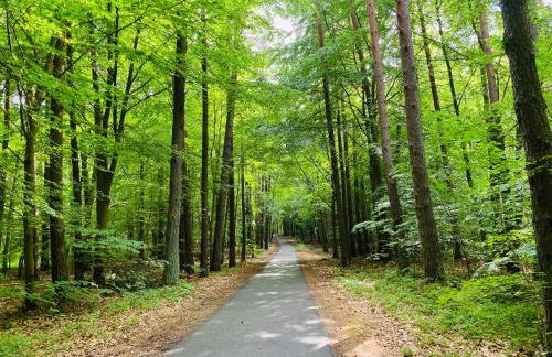 Klein aber fein in der Altstadt - Photo 21