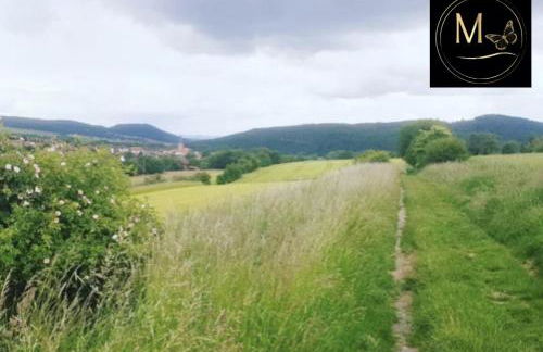 Kleine Sonnenstrahl-Oase - Photo 69