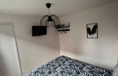 Beau Loft room proche mont saint Michel jaccuzi illimité en plein centre Avranches - Foto 18