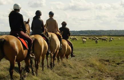 le gîte de Martine en Baie de Somme - Foto 58