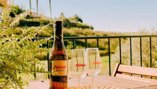 Mika's House Lite - Foto 3, Garden view