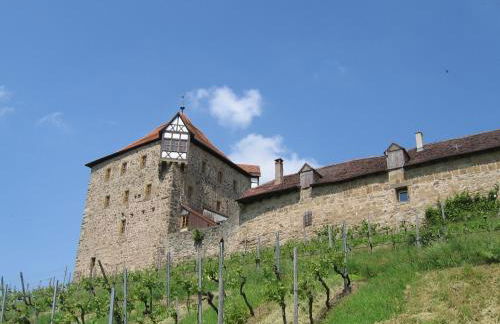 Gästeapartments Haus Kohler - Foto 64