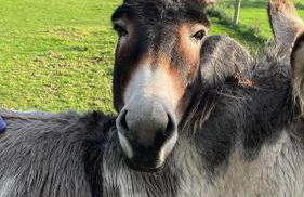 Rolling Mill, Wolds Way Holiday Cottages, 2 Bed, 1st floor - Foto 26