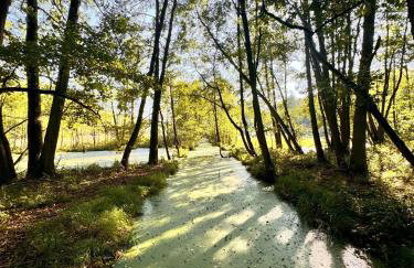 GrandBytyń House - Foto 65