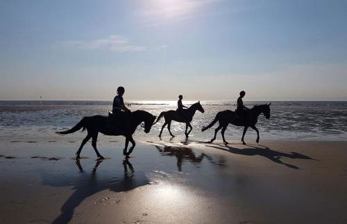 Belle villa la galinoche - Foto 19