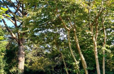 Maison sur la Presqu'île de Plougastel - Foto 14