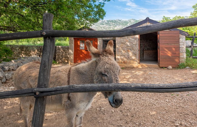 Villa Stone House Magarac - Foto 49