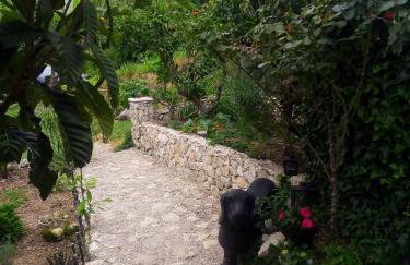 Villa Victoria - Foto 6