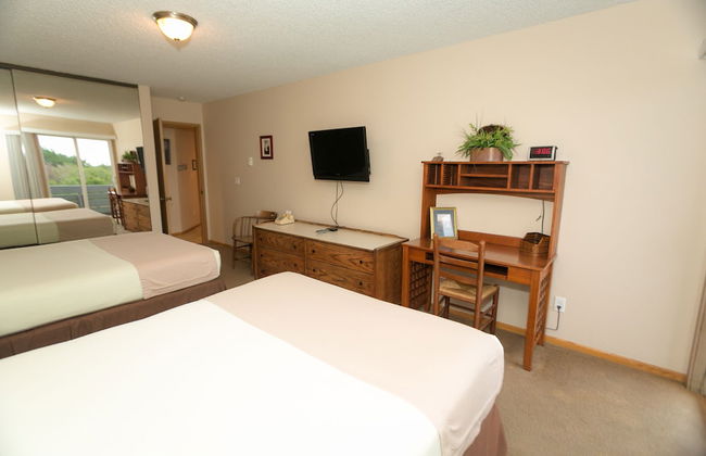 The Grey Gull - Foto 11