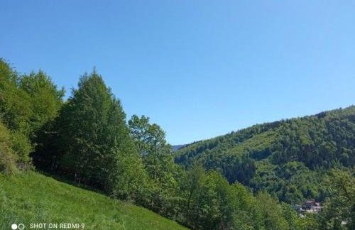 Gospodarstwo Agroturystyczne - Foto 14