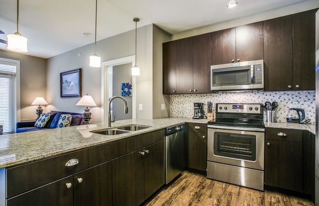 Frisco beautifully furnished 2 br apt - Photo 12