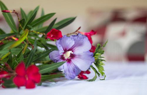 Auszeit-Wohnungen - Foto 27