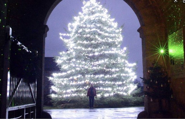 The Orchard House - Foto 34