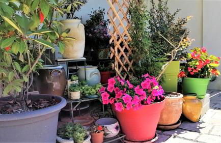 Gîte le Micocoulier - Foto 12