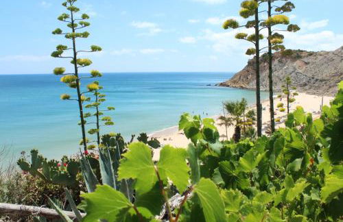 Casa Afonso Henriques - Foto 61