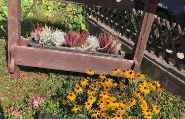 Haus Cornelia - Photo 11