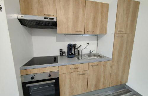 Un petit coin de paradis3 proche Beauval&chateaux - Foto 8