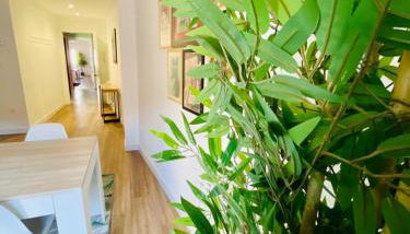 La Casa del Rock - Photo 3