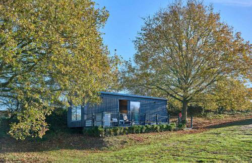 Host & Stay - Molly Mod - Foto 6