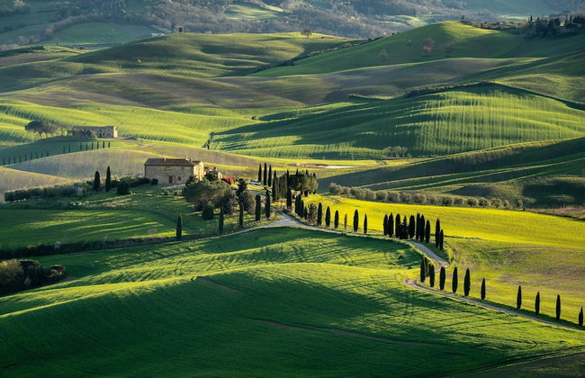 Vineyards Cottage With Pool Ac Wifi - Foto 10