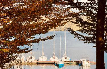 Polańczyk Dom, Apartamenty - Leśny Domek Polańczyk - Photo 66