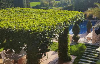 Cal Carulla - Foto 119