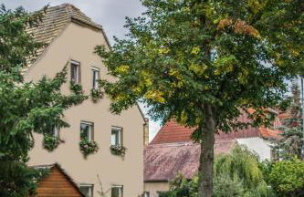 Pension Muldental Großbothen - Foto 8