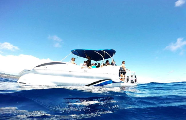Passeio de barco com fundo de vidro por Vila Franca do Campo - Foto 3