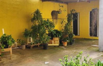 Recanto das Pretinhas - Photo 40