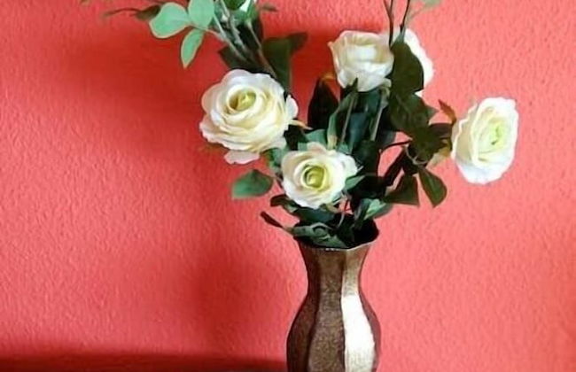 Little Sunny House 2 - Photo 39