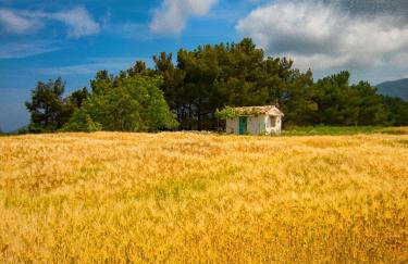 Trifonas village - Foto 52