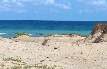 Oblò sul Mare - Villa nel cuore del Salento - Foto 21