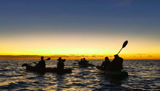 Desfrutando do tour de caiaque ao amanhecer